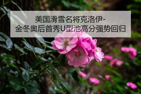 美国滑雪名将克洛伊-金冬奥后首秀U型池高分强势回归