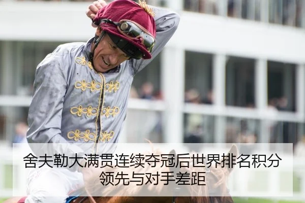 she-fu-lei-da-man-guan-lian-xu-duo-guan-hou-shi-jie-pai-ming-ji-fen-ling-xian-yu-dui-shou-cha-ju-3-911.jpg